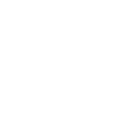 card-highlight-icon