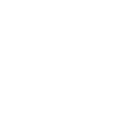 card-highlight-icon