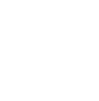 card-highlight-icon