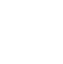 card-highlight-icon
